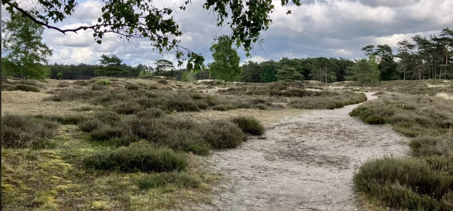 Ondersteunend beeld bij het artikel